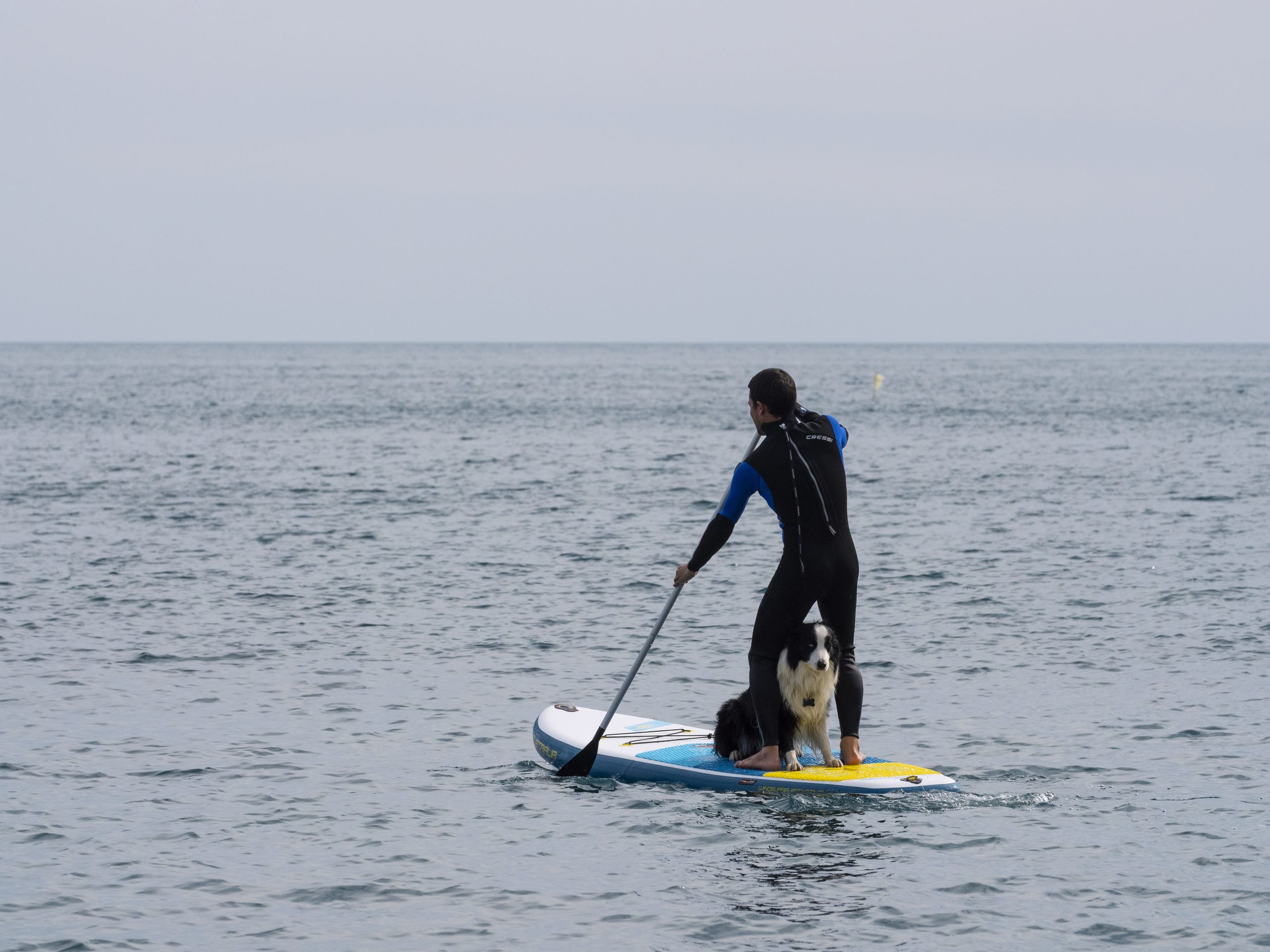 Stand Up Paddle – Falesie & Acque Cristalline preview 2